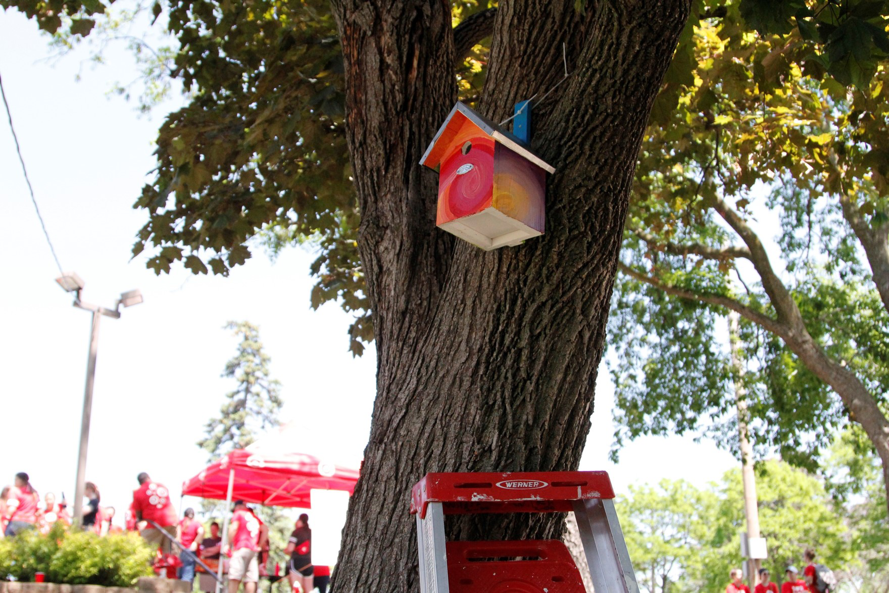 Birdhouses painted by volunteers at Wilder Center for Social Healing