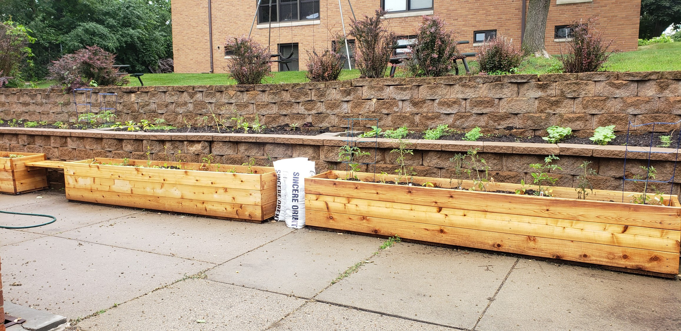 Garden boxes created by volunteers outside Wilder Center for Social Healing