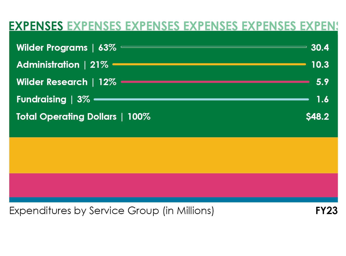 Expenses graphic