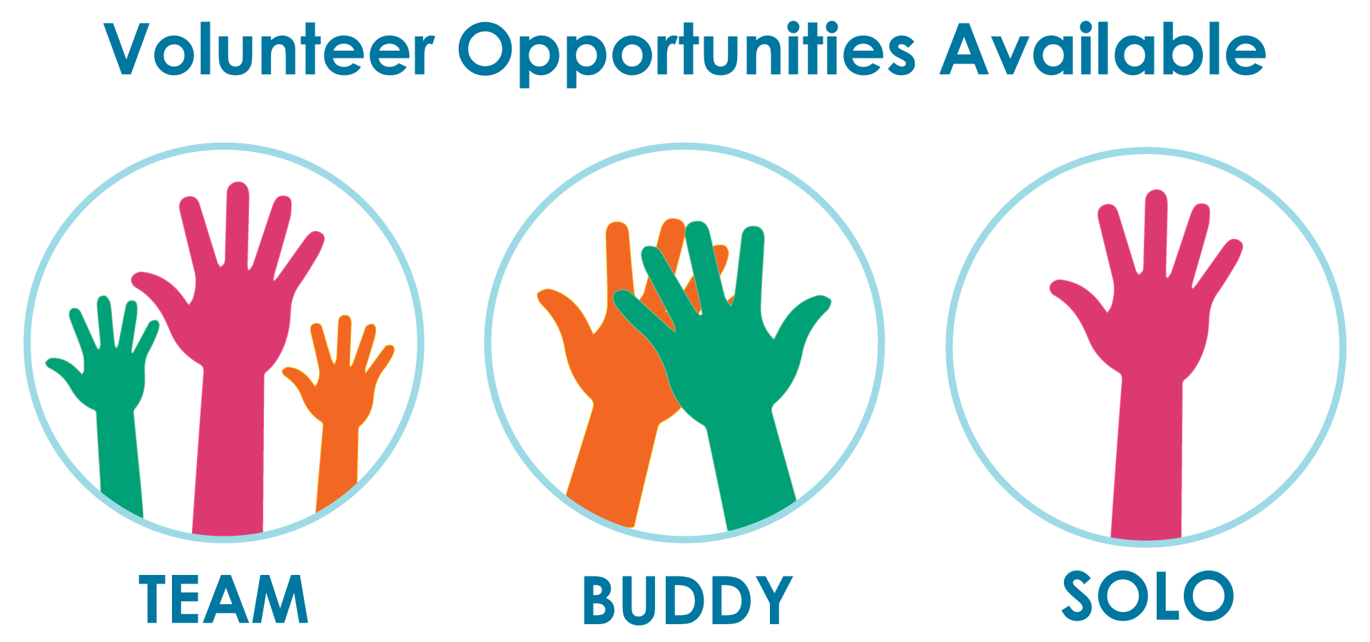 Volunteer Opportunities available at Wilder Foundation as a team, with a buddy or solo 