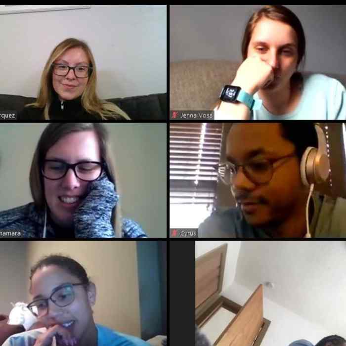 Staff members of Wilder Therapeutic Teaching model in a Zoom meeting