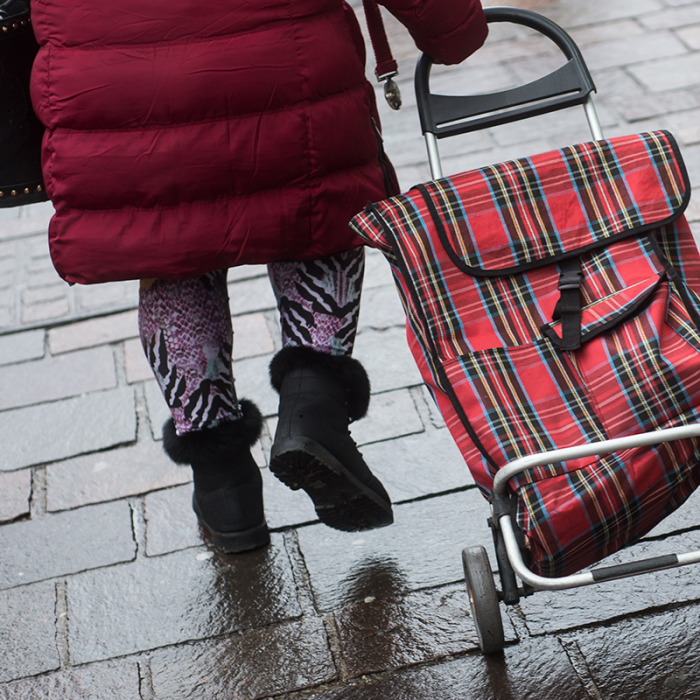 A person in a winter coat pulls a grocery trolley down a brick sidewalk. 