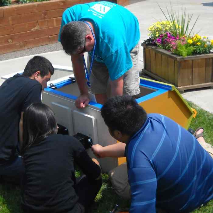 Youth building a little free library