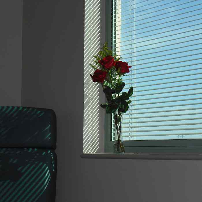 Vase of roses in hospital window