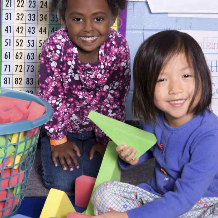 Two toddlers sit on the floor surrounded by blocks.