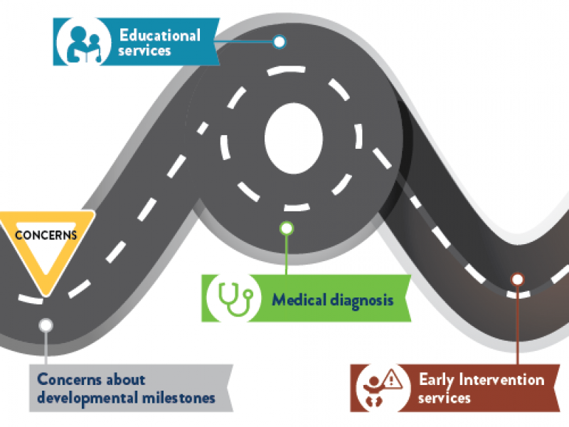 A road winds through different phases, including concerns about developmental milestones, medical diagnosis, educational services, and early intervention services.
