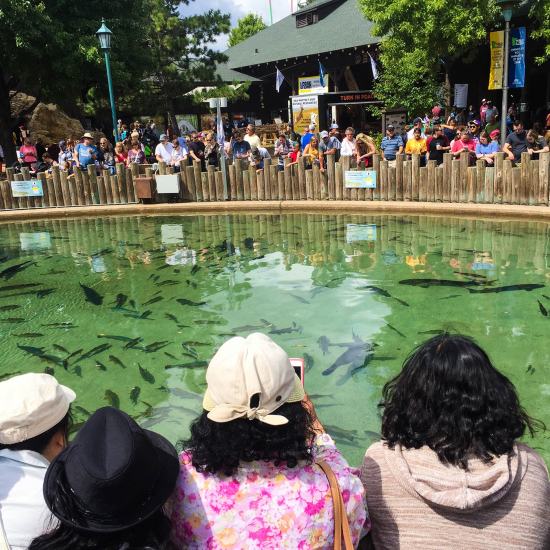 Four participants in the Wilder Center for Social Healing at a group outing to the Minnesota State Fair