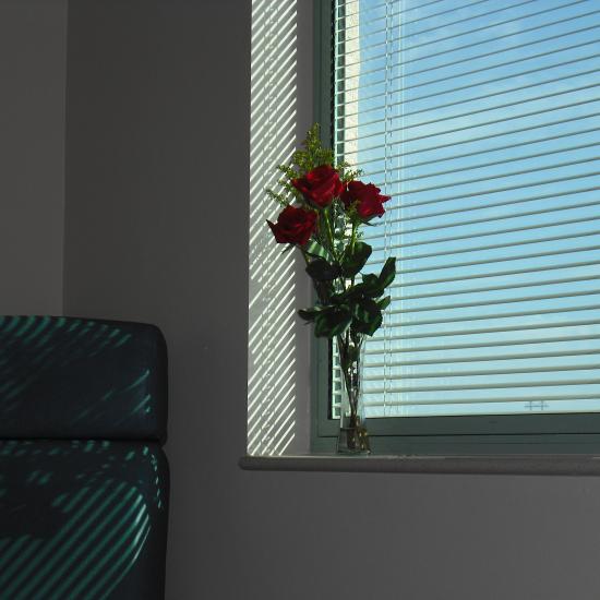 Vase of roses in hospital window