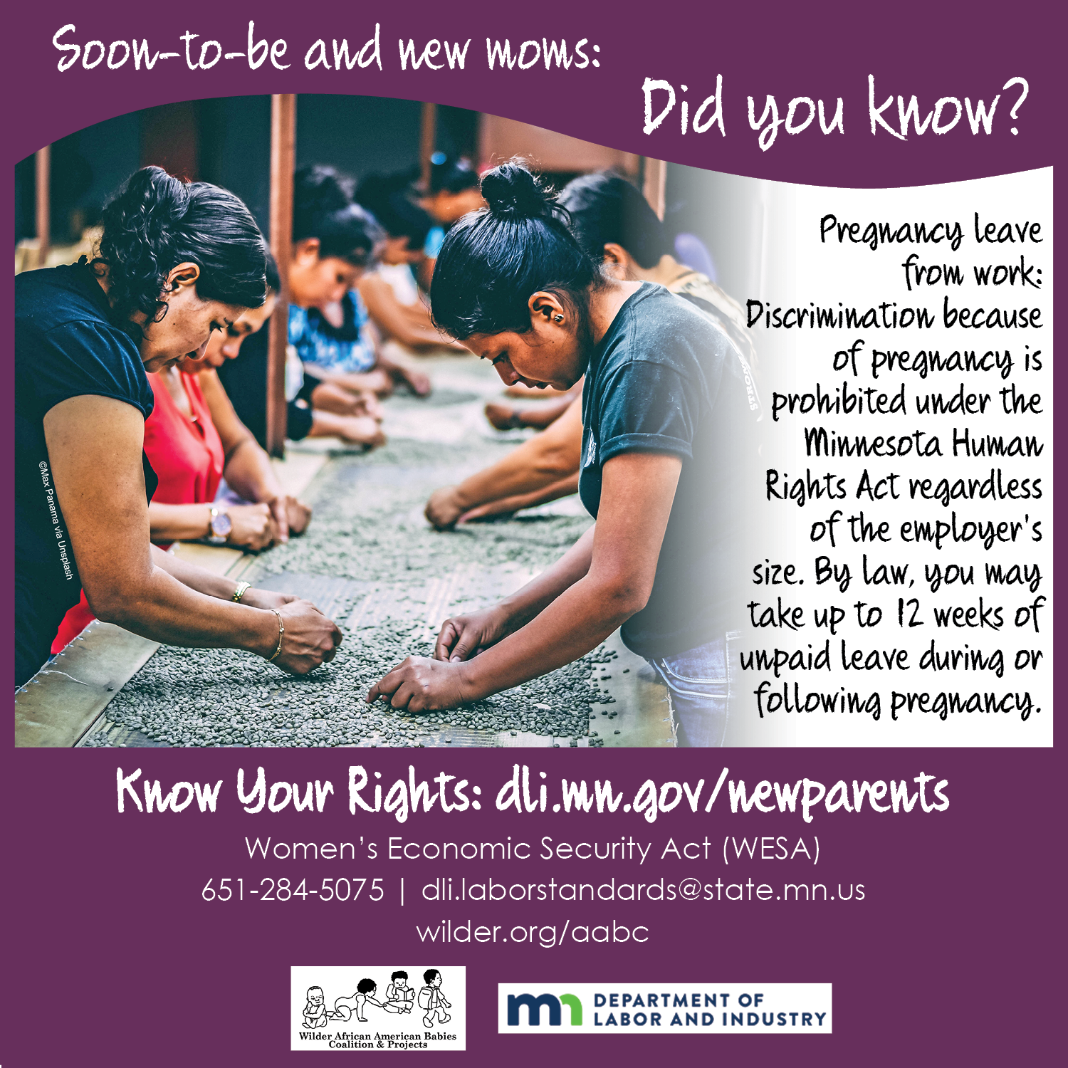 New Parents: Know Your Rights in the Workplace Women's Economic Security Act by MN Department of Labor and Industry and Wilder's African American Babies Coalition and Projects