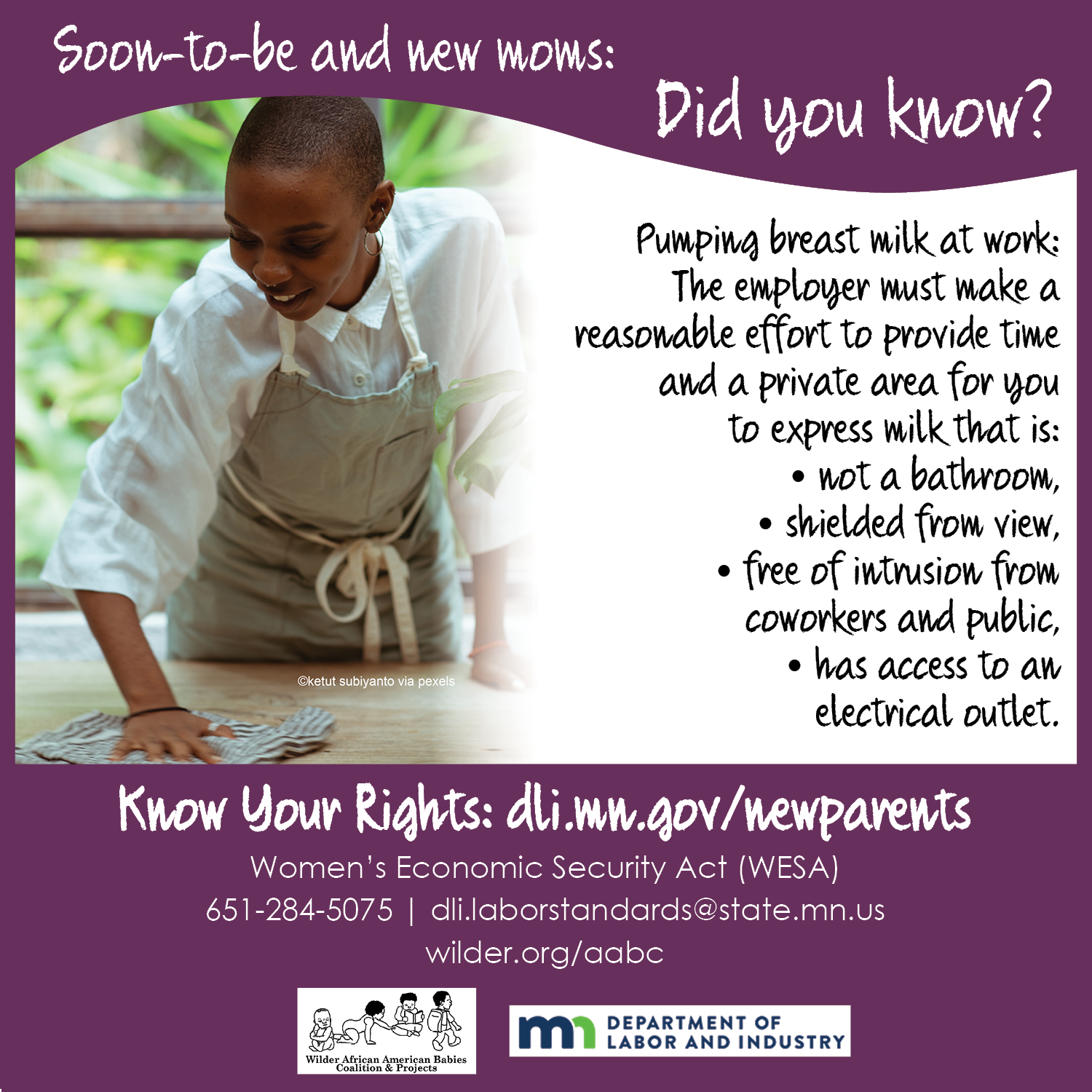 New Parents: Know Your Rights in the Workplace Women's Economic Security Act by MN Department of Labor and Industry and Wilder's African American Babies Coalition and Projects