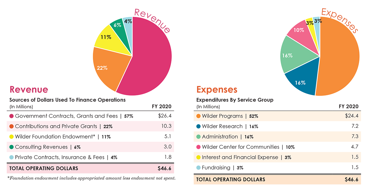 Amherst H. Wilder Foundation Annual Report 2020 Financials