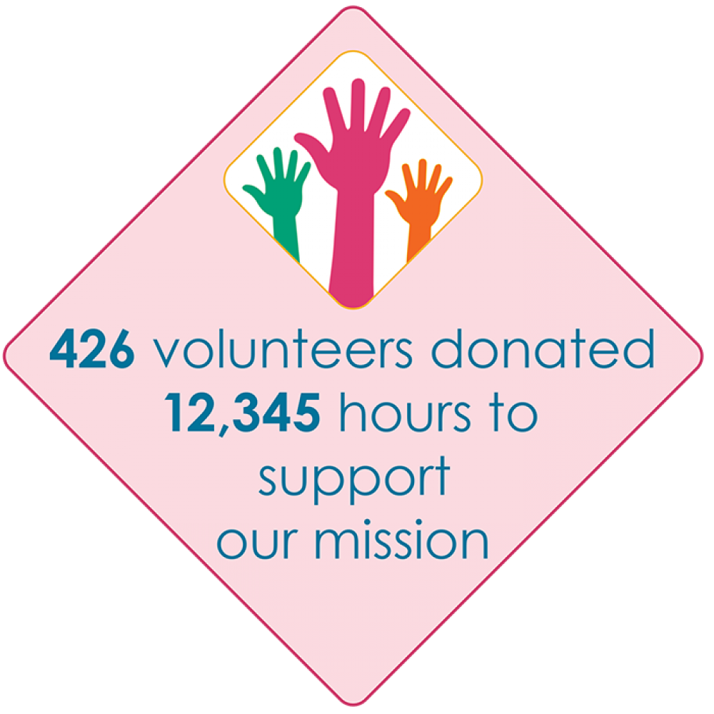 Volunteer Impact Amherst H. Wilder Foundation Annual Report 2020