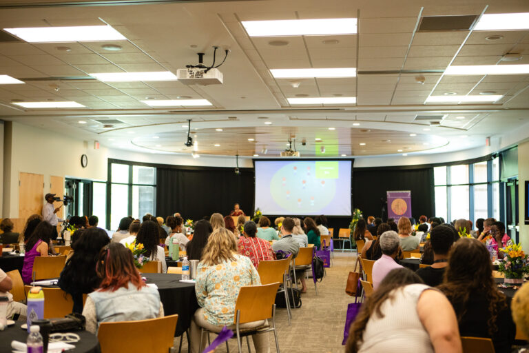 Black and Brown Birthing Summit 2024