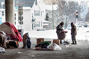First Statewide Homeless Study by Wilder Research