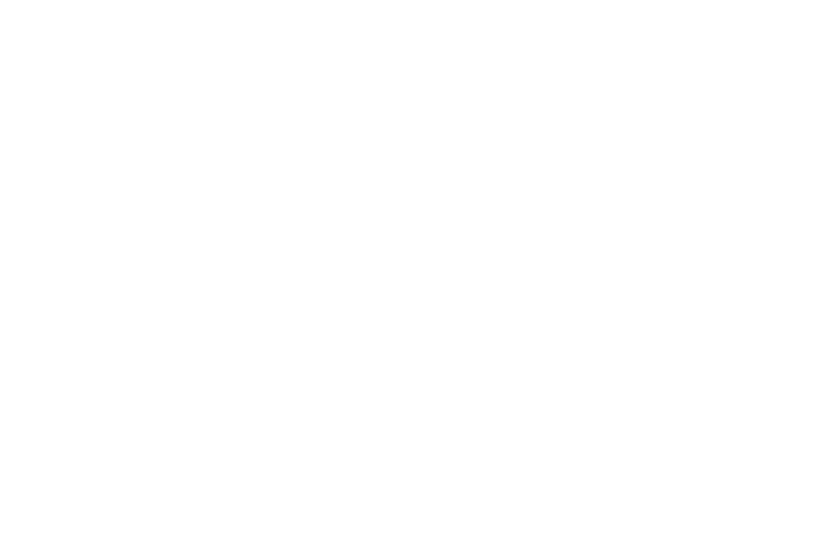 ciresi-conlin-logo