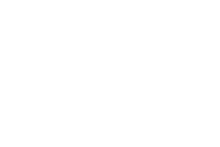 via-actuarial-solutions-logo-white