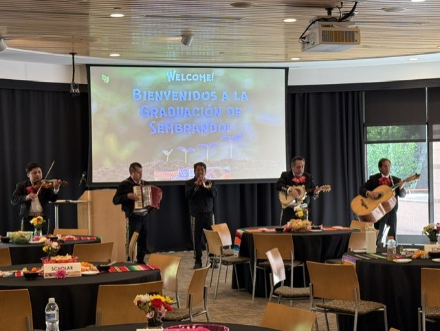 Mariachi band playing at Sembrando, one of Wilder's school-based mental health programs.